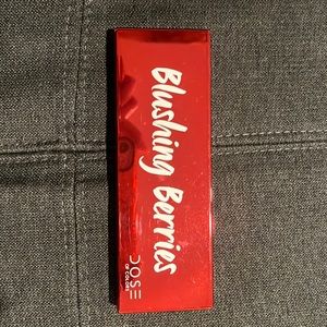 dose of colors blushing berries palette